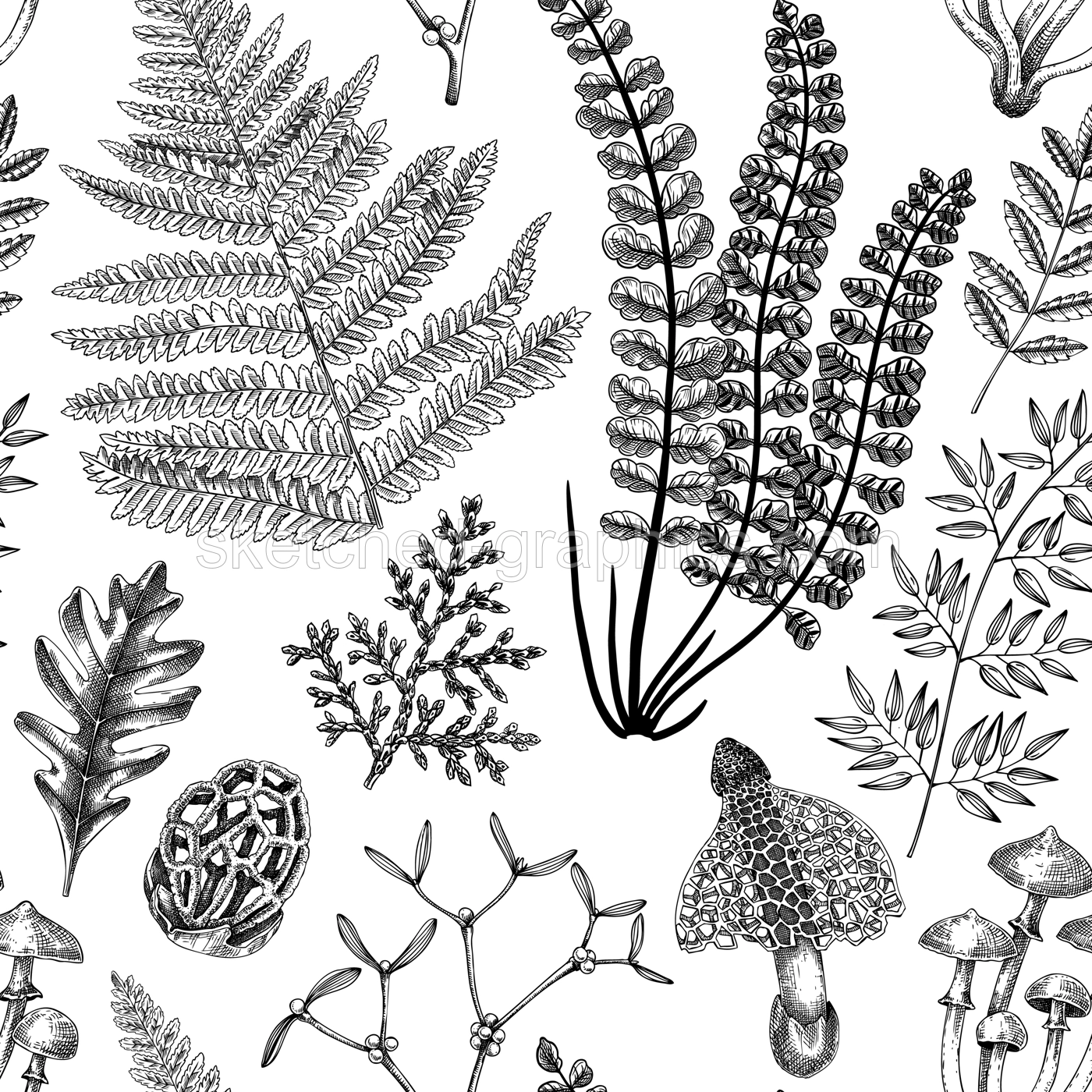 Vector seamless pattern with fern leaf, mushrooms, fall leaves and autumn plant sketches. Monochrome botanical repeating texture. Hand drawn autumn forest background. Vintage nature design for print Illustration